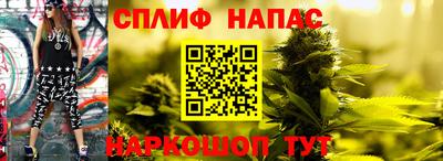 СК Нягань