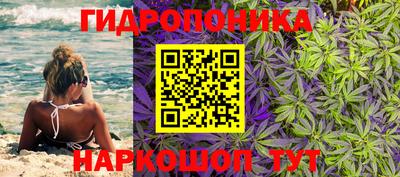 винт Обь