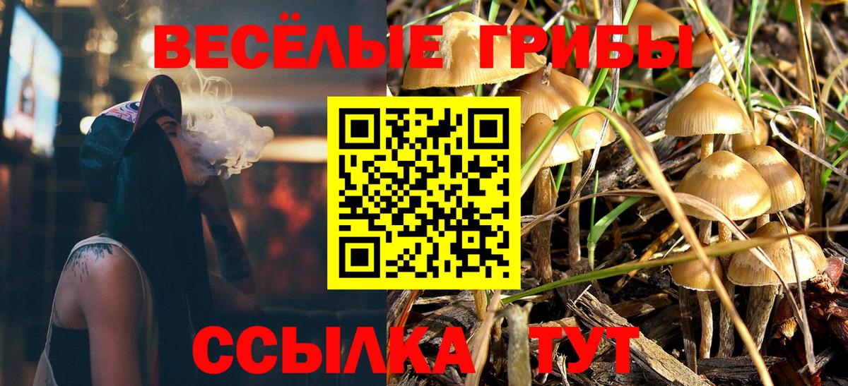 Буйнакск  где можно купить наркотик  Вход с VPN  Псилоцибиновые грибы мухоморы 