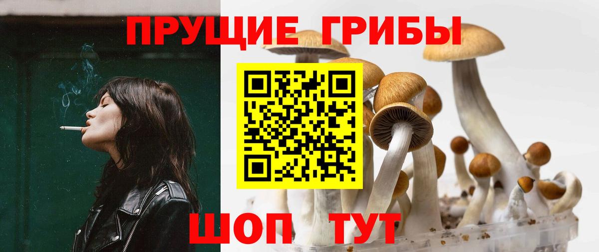 Галлюциногенные грибы мицелий Буйнакск